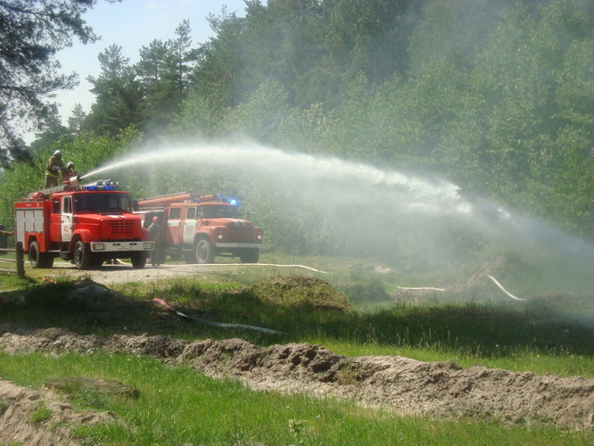 08:02 В Шемуршинском районе состоялись тактико-специальные учения по тушению условного лесного пожара 
